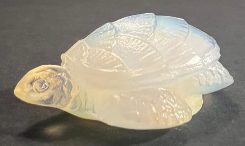 Sabino opalescent sea - opalescent, turtle
